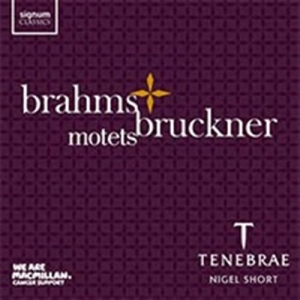 Brahms / Bruckner - Motets i gruppen VI TIPSAR / Julklappstips CD hos Bengans Skivbutik AB (1740164)