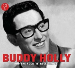 Blandade Artister - Holly Buddy & Rock'n'roll Ginats i gruppen CD / Rock hos Bengans Skivbutik AB (1795351)