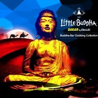 Blandade Artister - Little Buddha V i gruppen CD / Dance-Techno hos Bengans Skivbutik AB (1795873)