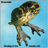 Brainchild - Healing Of The Lunatic Owl i gruppen CD / Pop-Rock hos Bengans Skivbutik AB (1796510)