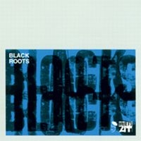 Various Artists - Black Roots i gruppen CD / Pop-Rock hos Bengans Skivbutik AB (1810455)