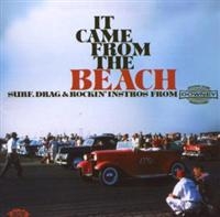 Various Artists - It Came From The Beach: Surf, Drag i gruppen CD / Pop-Rock hos Bengans Skivbutik AB (1810681)