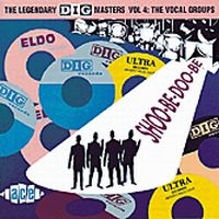 Various Artists - Shoo-Be-Doo-Be - Dig Masters Volume i gruppen CD / Pop-Rock hos Bengans Skivbutik AB (1810832)