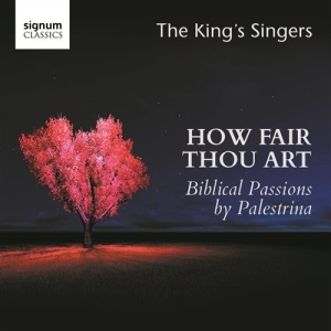 Palestrina Giovanni Pierluigi Da - How Fair Thou Art i gruppen VI TIPSAR / Julklappstips CD hos Bengans Skivbutik AB (1847540)