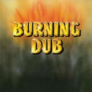 REVOLUTIONARIES - BURNING DUB i gruppen VINYL / Reggae hos Bengans Skivbutik AB (1878770)
