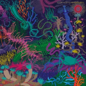 Slow Steve - Adventures i gruppen ÖVRIGT / Övrigt / aub hos Bengans Skivbutik AB (1883846)