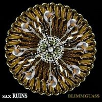 Sax Ruins - Blimmguass i gruppen CD / Pop-Rock hos Bengans Skivbutik AB (1908077)