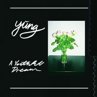 Yung - A Youthful Dream - Ltd.Ed. i gruppen VINYL / Pop-Rock hos Bengans Skivbutik AB (1914617)