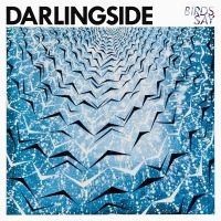 Darlingside - Birds Say i gruppen VINYL / Pop-Rock hos Bengans Skivbutik AB (1951419)