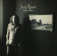 Aycock Jesse - Flowers & Wounds i gruppen CD / Pop-Rock hos Bengans Skivbutik AB (1977260)