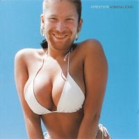 Aphex Twin - Windowlicker i gruppen Minishops / Aphex Twin hos Bengans Skivbutik AB (1994755)