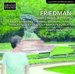 Friedman Ignaz - Piano Transcriptions i gruppen VI TIPSAR / Julklappstips CD hos Bengans Skivbutik AB (2003516)