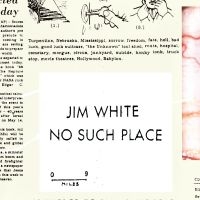 White Jim - No Such Place i gruppen VINYL / Pop-Rock hos Bengans Skivbutik AB (2004785)