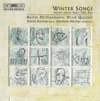 Various - Winter Songs i gruppen Externt_Lager / Naxoslager hos Bengans Skivbutik AB (2006773)