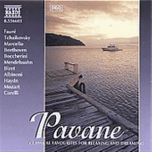 Various - Pavane i gruppen Externt_Lager / Naxoslager hos Bengans Skivbutik AB (2009787)