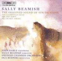 Beamish Sally - Imagined Sound Of Sun. i gruppen Externt_Lager / Naxoslager hos Bengans Skivbutik AB (2010687)