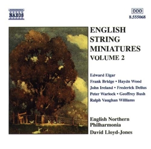 Various - Eng String Miniatures 2 i gruppen Externt_Lager / Naxoslager hos Bengans Skivbutik AB (2010786)