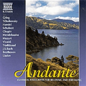 Various - Andante i gruppen Externt_Lager / Naxoslager hos Bengans Skivbutik AB (2010832)