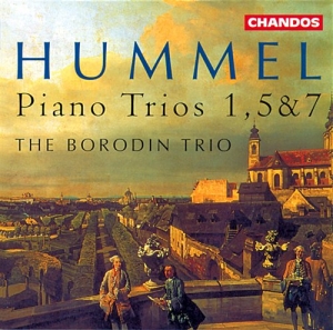 Hummel - Piano Trios i gruppen VI TIPSAR / Julklappstips CD hos Bengans Skivbutik AB (2013154)