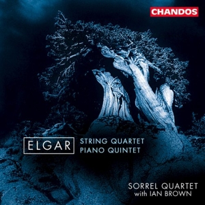 Elgar - String Quartet And Piano Quint i gruppen VI TIPSAR / Julklappstips CD hos Bengans Skivbutik AB (2013368)