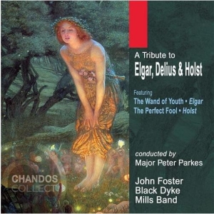 Various - Tribute To Elgar / Delius / Ho i gruppen VI TIPSAR / Julklappstips CD hos Bengans Skivbutik AB (2013791)