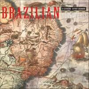 Various - Brazilian Adventures i gruppen Externt_Lager / Naxoslager hos Bengans Skivbutik AB (2017053)