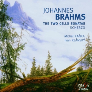 Gary Hoffman - Brahms: Cello Sonatas i gruppen CD / Klassiskt,Övrigt hos Bengans Skivbutik AB (2034235)