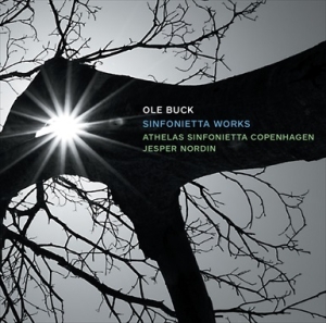 Buck Ole - Sinfonietta Works i gruppen Externt_Lager / Naxoslager hos Bengans Skivbutik AB (2037394)