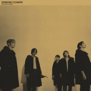 Drinking Flowers - New Swirled Order i gruppen CD / Pop-Rock hos Bengans Skivbutik AB (2042465)