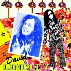 Lindley Dave - Mr. Dave i gruppen CD / Pop-Rock hos Bengans Skivbutik AB (2060670)