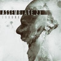 Assemblage 23 - Endure Limited Edition Lp i gruppen VINYL / Pop-Rock hos Bengans Skivbutik AB (2060755)