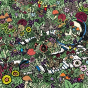 Oozing Wound - Whatever Forever i gruppen VINYL / Hårdrock hos Bengans Skivbutik AB (2060758)