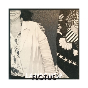 Lambchop - Flotus i gruppen VINYL / Pop-Rock hos Bengans Skivbutik AB (2062465)
