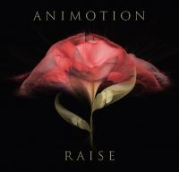 Animotion - Raise Your Expectations i gruppen CD / Pop-Rock hos Bengans Skivbutik AB (2063983)