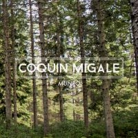 Coquin Migale - Munro i gruppen CD / Pop-Rock hos Bengans Skivbutik AB (2069260)