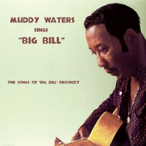 Waters Muddy - Sings Big Bill i gruppen ÖVRIGT / 10399 hos Bengans Skivbutik AB (2074006)