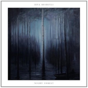 Beshevli Ilya - Night Forest i gruppen CD / Pop-Rock,Reggae hos Bengans Skivbutik AB (2074166)