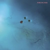 Purling Hiss - High Bias i gruppen VINYL / Pop-Rock hos Bengans Skivbutik AB (2084209)