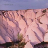 Autechre - Amber i gruppen VINYL / Pop-Rock hos Bengans Skivbutik AB (2098396)