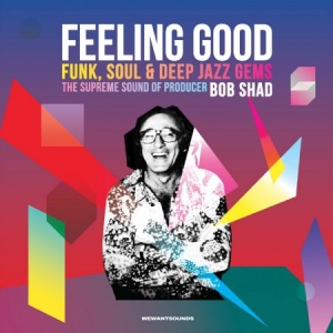 Blandade Artister - Feeling Good i gruppen VINYL / RNB, Disco & Soul hos Bengans Skivbutik AB (2099360)