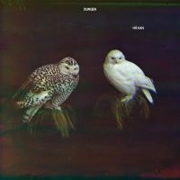 Dungen - Häxan i gruppen CD / Pop-Rock hos Bengans Skivbutik AB (2101159)