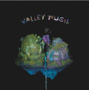 Valley Hush - Valley Hush i gruppen VINYL / Pop hos Bengans Skivbutik AB (2108881)