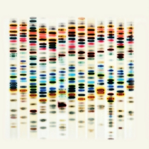 St 37 - I'm Not Good i gruppen CD / Pop-Rock hos Bengans Skivbutik AB (2250194)