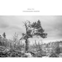 Ulvo Andreas - Unchangable Seasons i gruppen CD / Jazz hos Bengans Skivbutik AB (2253945)