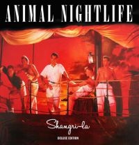 Animal Nightlife - Shangri-La: Deluxe Edition i gruppen CD / Pop-Rock hos Bengans Skivbutik AB (2255733)