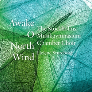 The Stockholm Musikgymnasium Chambe - Awake, O North Wind i gruppen Externt_Lager / Naxoslager hos Bengans Skivbutik AB (2263670)