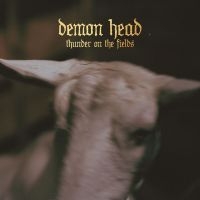 Demon Head - Thunder On The Fields Cd i gruppen Labels / The Sign Records / Demon Head hos Bengans Skivbutik AB (2288147)