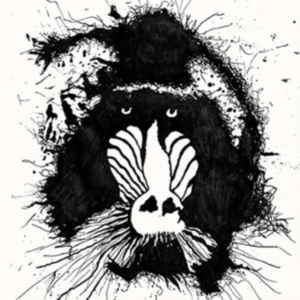 Feral Ohms - Feral Ohms i gruppen CD / Pop-Rock hos Bengans Skivbutik AB (2366323)