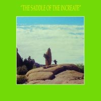 Sun Araw - Saddle Of The Increate i gruppen VINYL / Pop-Rock hos Bengans Skivbutik AB (2392777)