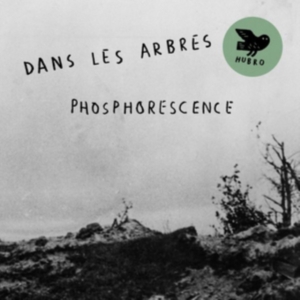 Dans Les Arbres - Phosphorensence i gruppen VINYL / Jazz hos Bengans Skivbutik AB (2396046)